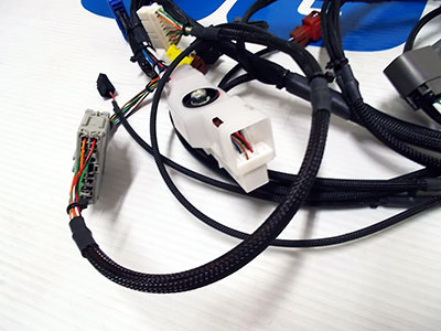 JGY B13 harness